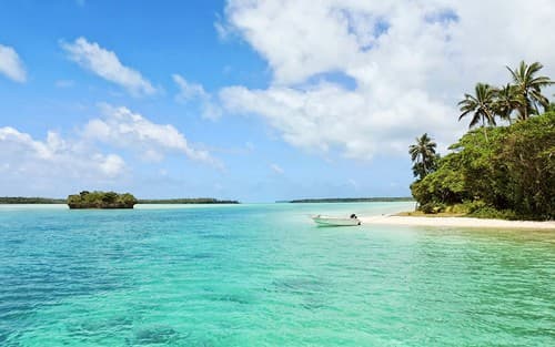 Caribbean Celebration