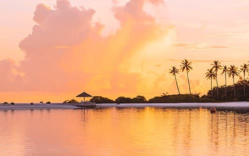 Caribbean Celebration