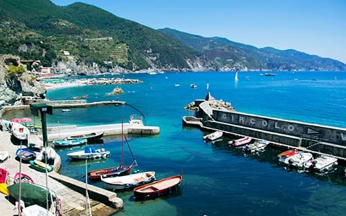 Mediterranean